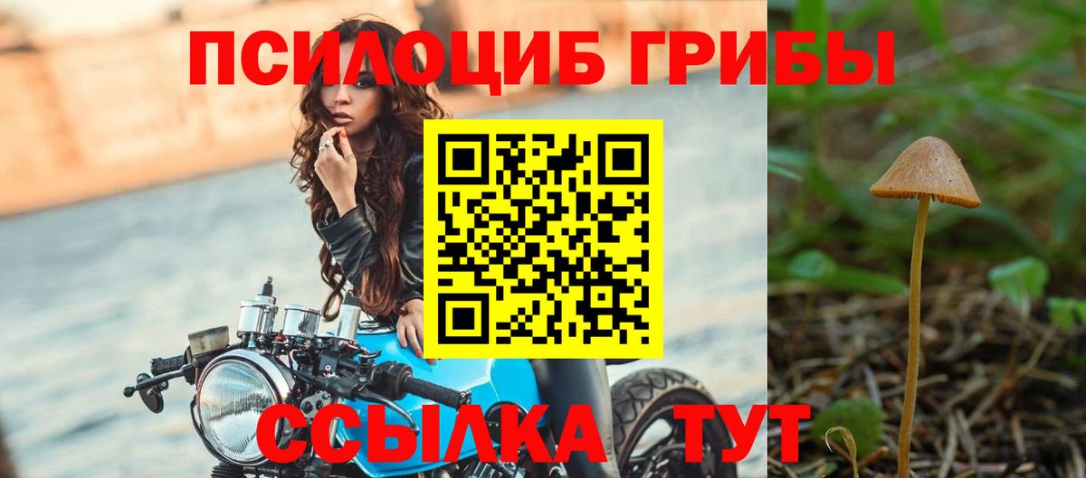 Псилоцибиновые грибы мухоморы Стрежевой