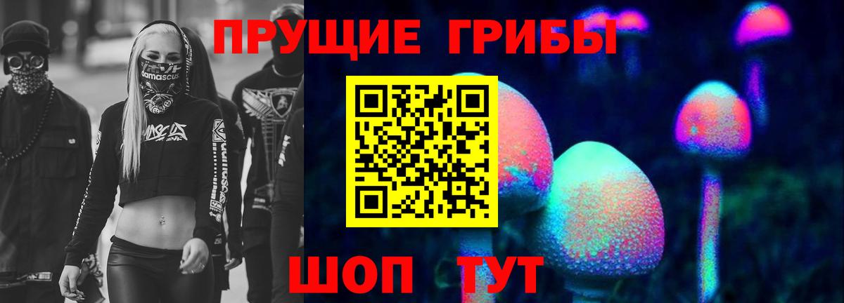 Стрежевой  Галлюциногенные грибы Cubensis  Вход с VPN 